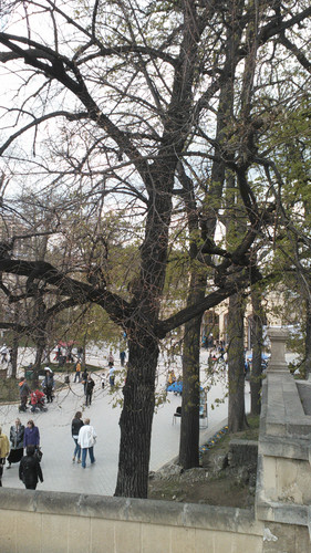 IMG 20150501 134516.jpg