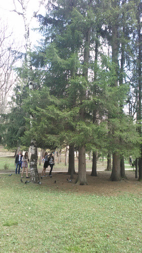 IMG 20150501 133448.jpg