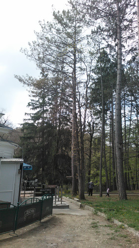 IMG 20150501 133430.jpg