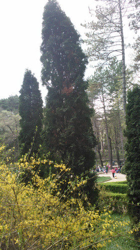 IMG 20150501 133751.jpg