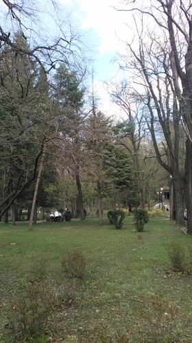 IMG 20150501 133323.jpg