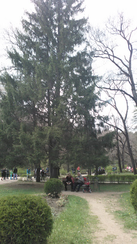 IMG 20150501 133238.jpg
