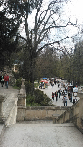 IMG 20150501 134521.jpg