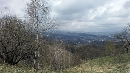 IMG 20150502 105918.jpg