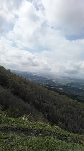 IMG 20150502 102051.jpg