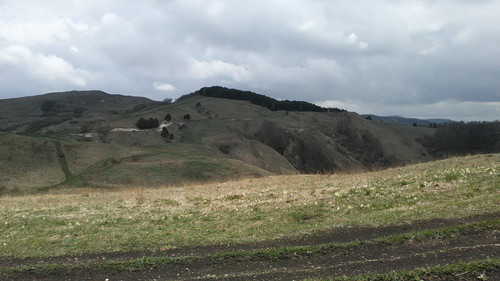 IMG 20150502 113030.jpg
