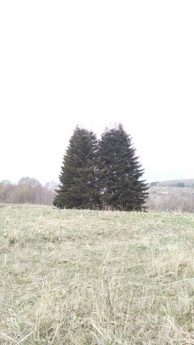 IMG 20150502 112210.jpg