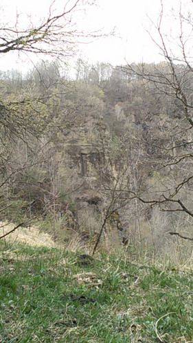 IMG 20150502 110110.jpg
