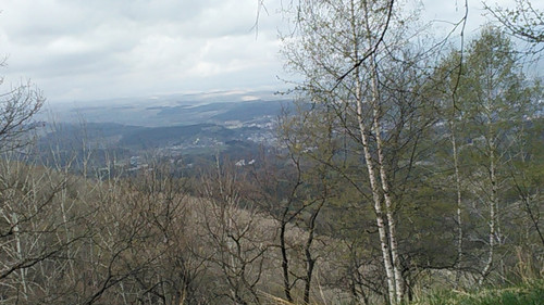 IMG 20150502 110116.jpg