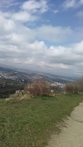IMG 20150502 102049.jpg