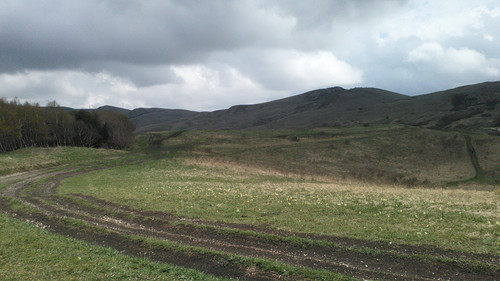 IMG 20150502 113027.jpg