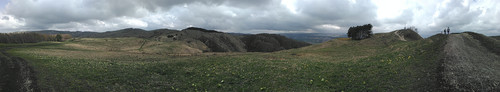 IMG 20150502 113154.jpg