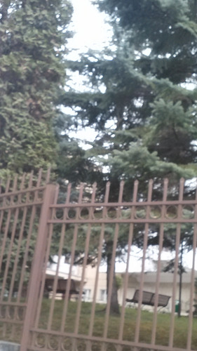 IMG 20150501 144106.jpg