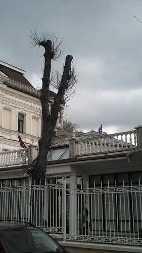 IMG 20150501 142913.jpg