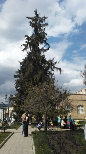 IMG 20150501 140044.jpg