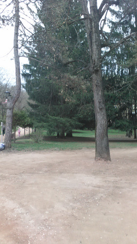 IMG 20150502 073941.jpg