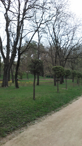 IMG 20150502 074010.jpg