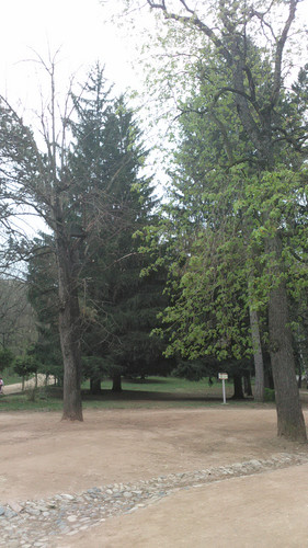 IMG 20150502 073934.jpg