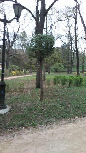 IMG 20150502 074007.jpg