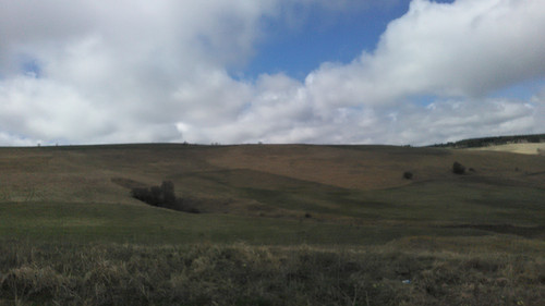 IMG 20150503 095044.jpg
