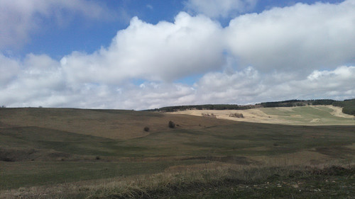 IMG 20150503 095047.jpg