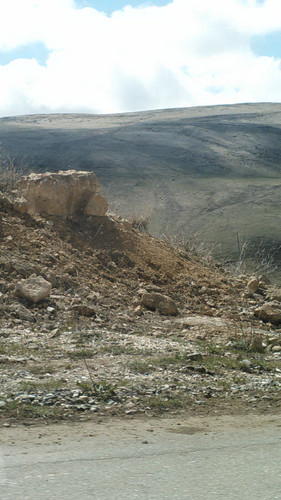 IMG 20150503 100844.jpg