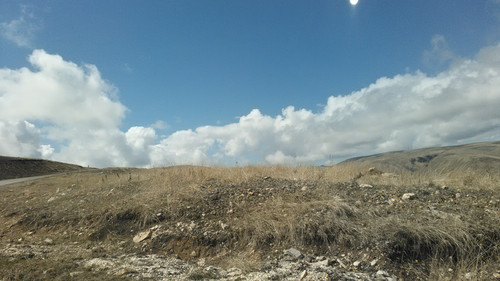 IMG 20150503 101239.jpg