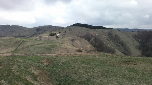 IMG 20150502 113247.jpg