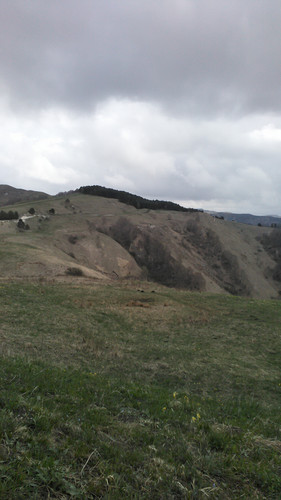 IMG 20150502 113302.jpg