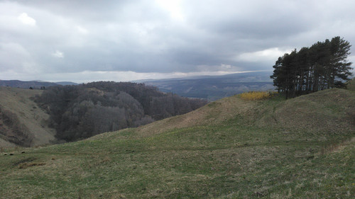 IMG 20150502 113250.jpg