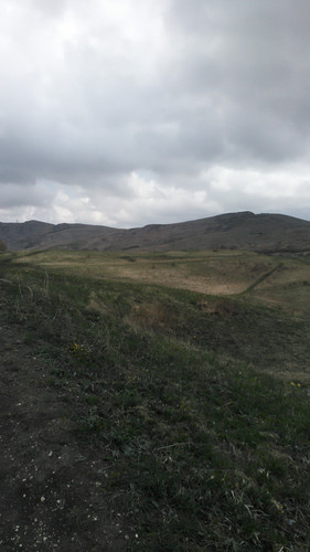 IMG 20150502 113304.jpg