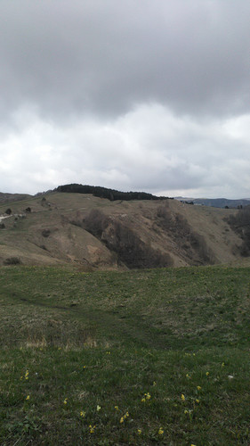 IMG 20150502 113354.jpg