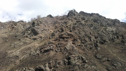 IMG 20150503 104736.jpg