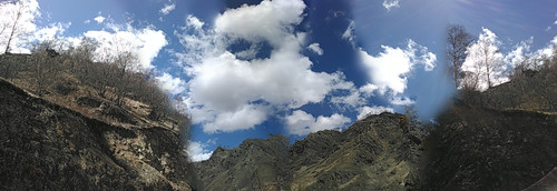 IMG 20150503 111849.jpg