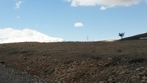 IMG 20150503 114313.jpg
