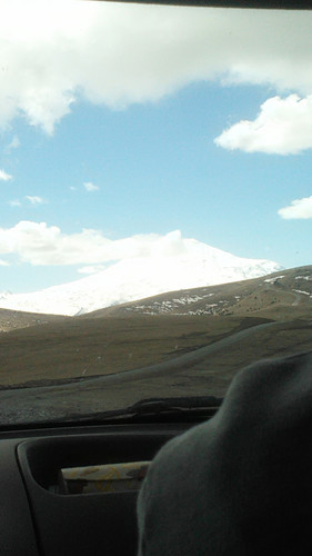 IMG 20150503 114538.jpg