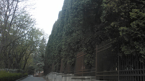 IMG 20150501 144102.jpg