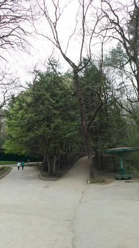 IMG 20150502 074207.jpg