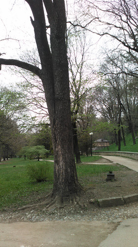 IMG 20150502 074201.jpg
