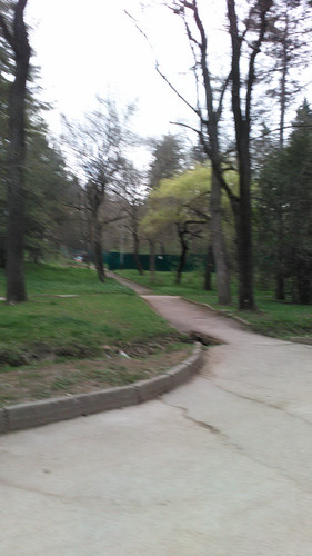 IMG 20150502 074211.jpg