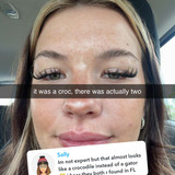 fionamaefit 2026 07 21T15 38 19