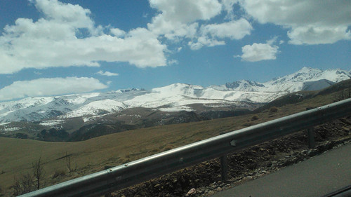 IMG 20150503 121009.jpg