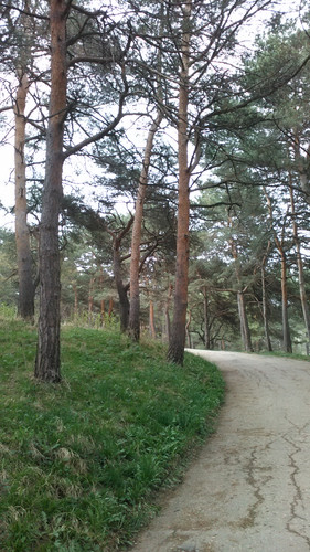 IMG 20150502 082556.jpg