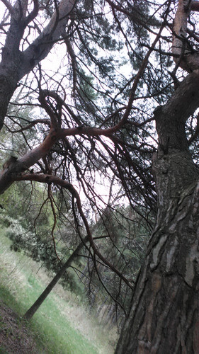 IMG 20150502 082755.jpg