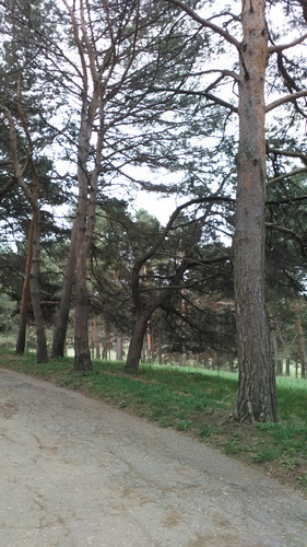 IMG 20150502 082602.jpg