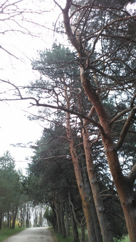 IMG 20150502 082703.jpg