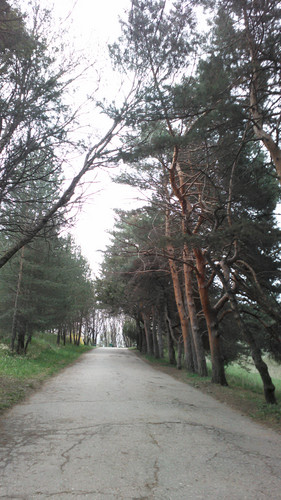 IMG 20150502 082653.jpg