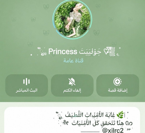 c91063c893c9.jpg