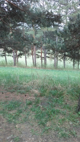 IMG 20150502 082712.jpg