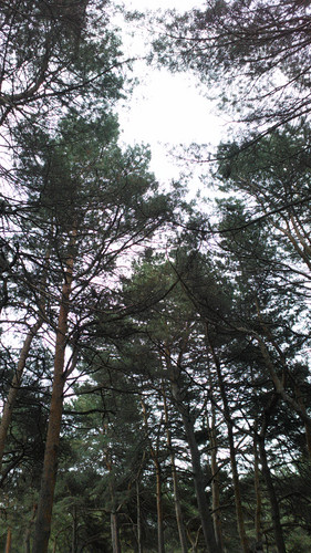 IMG 20150502 082558.jpg